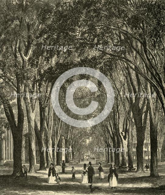 'The New-Haven Elms', 1874. Creator: Henry Duff Linton.
