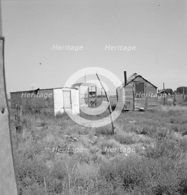 Shack for potato pickers, Merrill, Klamath County, Oregon, 1939. Creator: Dorothea Lange.