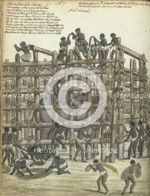 Restraining a Wild Elephant, 1785. Creator: Jan Brandes.