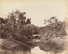 [Botanical Gardens, Calcutta], 1850s. Creator: Captain R. B. Hill.