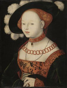 Portrait of a Lady, 1530. Creator: Hans Baldung.