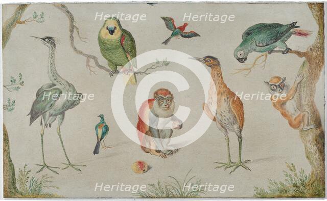 Study of Birds and Monkeys, 1660/1670. Creator: Anon.