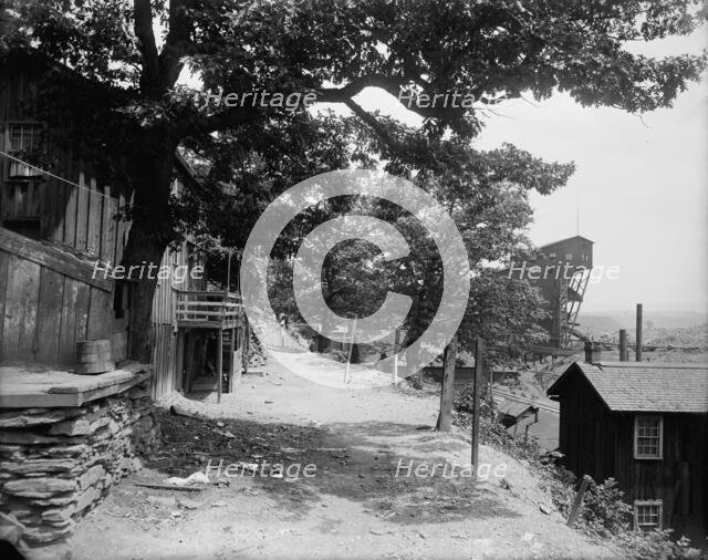 Street in Avondale, Pa., between 1900 and 1906. Creator: Unknown.
