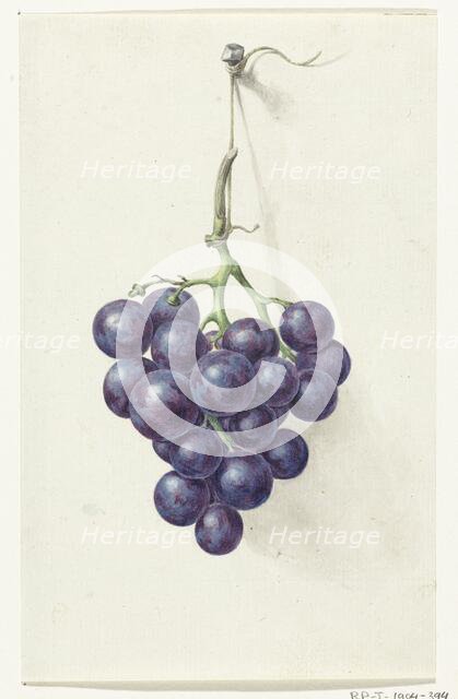 Bunch of blue grapes, 1775-1833. Creator: Jean Bernard.