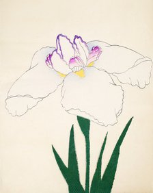 Zama-No-Mori, No. 4, 1890, (colour woodblock print)