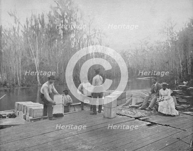 'Loading Oranges on the Ocklawaha River, Florida', c1897. Creator: Unknown.