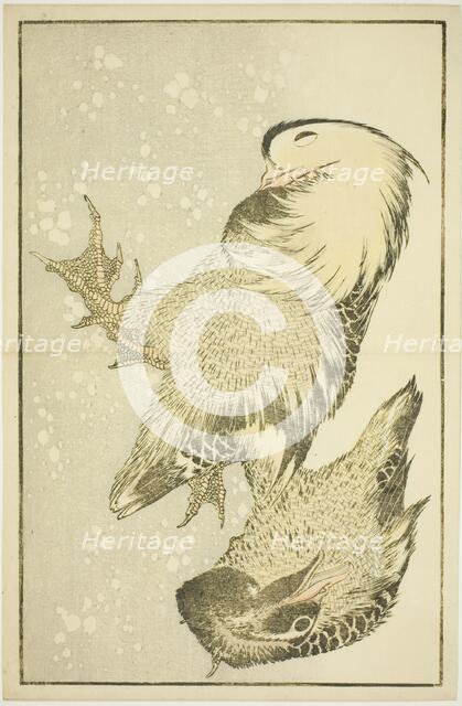 Two Waterfowl, from The Picture Book of Realistic Paintings of Hokusai (Hokusai..., Japan, c. 1814. Creator: Hokusai.