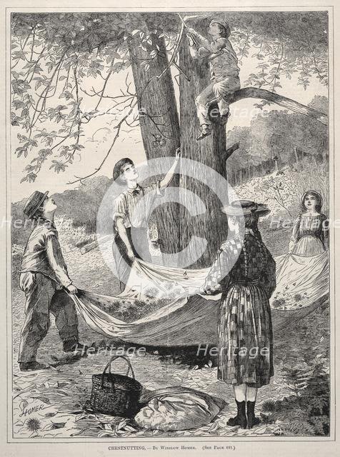 Chestnutting, 1870. Creator: Winslow Homer (American, 1836-1910).