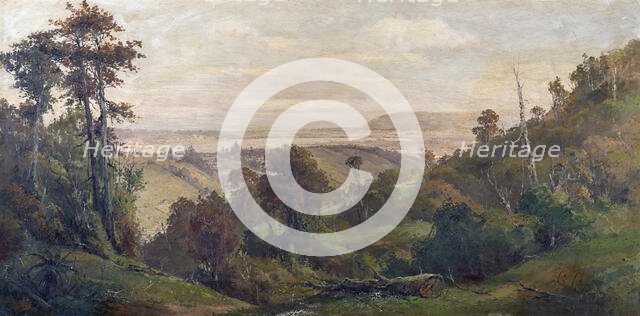 Dunedin from Pine Hill, c1900s. Creator: George William Carrington.