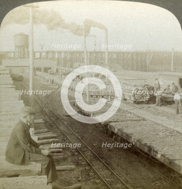 Plant and switchyards of a wood preserving company, Escanaba, Michigan, USA.Artist: Underwood & Underwood