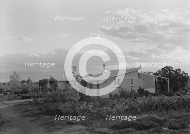 Type house at "Garden Homes", Kern County, California, 1938. Creator: Dorothea Lange.