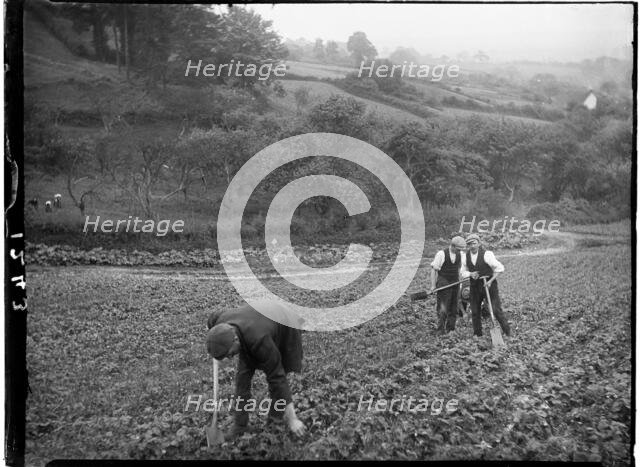 Cheddar, Sedgemoor, Somerset, 1907. Creator: Katherine Jean Macfee.
