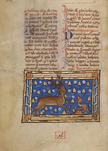 A Stag before a Dragon-like Snake; Bestiary, about 1270. Creator: Unknown.