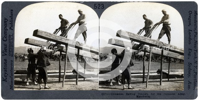 Chinese men sawing timber for the Japanese army, Manchuria, Russo-Japanese war, 1904-1905.Artist: Keystone