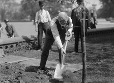 James R. Mann, Rep. from Illinois, Planting Tree At Capitol, 1912. Creator: Harris & Ewing.