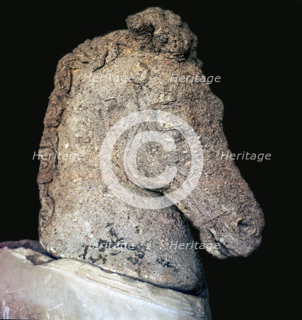 Greek marble horse's head, c.5th century BC. Artist: Unknown