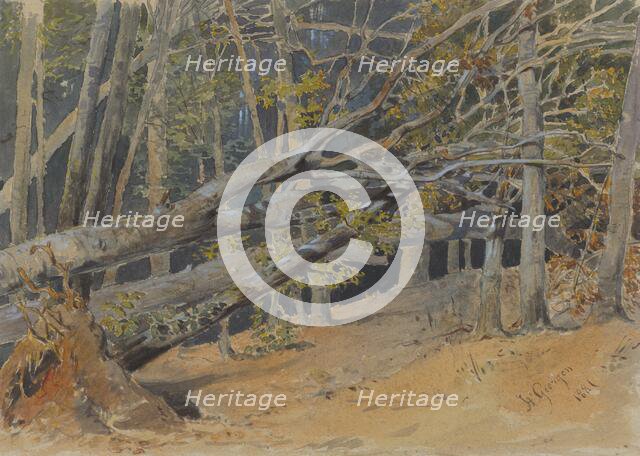 Study of felled trees, 1881. Creator: Friedrich Carl von Scheidlin.