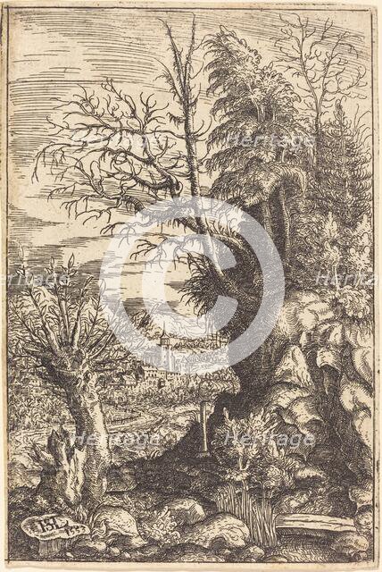 Landscape with a Willow, 1553. Creator: Hans Sebald Lautensack.