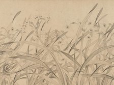 Narcissus, mid-13th century. Creator: Zhao Mengjian.