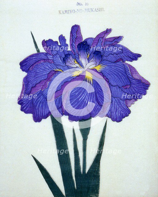 Kamiyo-No-Mukashi, No 16.