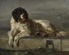 A Distinguished Member of the Humane Society, 1850-1899. Creator: Follower of Edwin Henry Landseer.