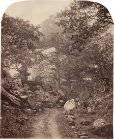 Fontainebleau, c. 1860s. Creator: Alphonse Jeanrenaud.