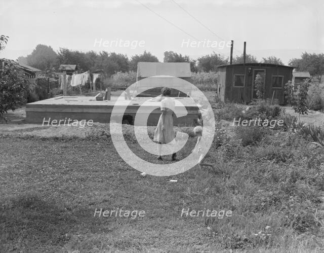 Progressive housing on half acre in Yakima shacktown, Yakima, Washington, 1939. Creator: Dorothea Lange.