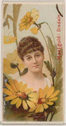 Marigold: Disdain, from the series Floral Beauties and Language of Flowers (N75) for Duke ..., 1892. Creator: Donaldson Brothers.