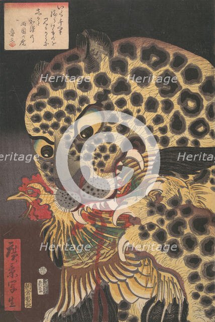 “The Tiger of Ryokoku,” from the series True Scenes by Hirokage , 8th month, 1860., Creator: Utagawa Hirokage.