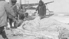 Eskimo hunters cutting up a walrus, between c1900 and c1930. Creator: Lomen Brothers.
