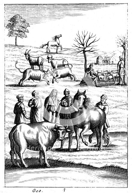 Sheep, cattle, horses and goats, 18th century. Artist: Unknown