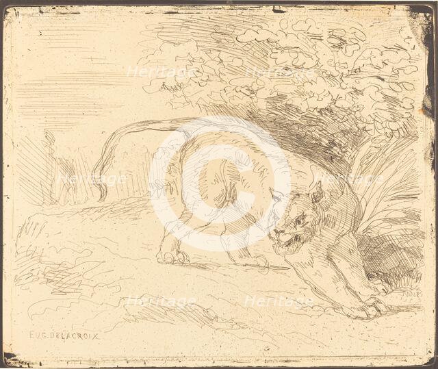 Tigre en arrêt, 1854. Creator: Eugene Delacroix.