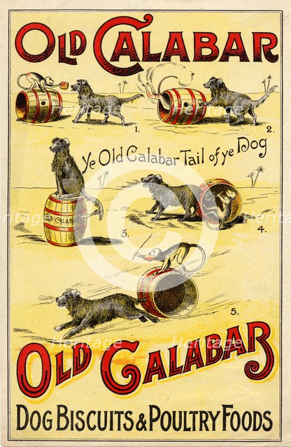 Old Calabar Dog Biscuits, c.1900. Artist: Unknown