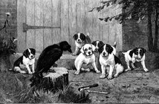 Quoth The Raven: "Never More!", 1890.  Creator: John Greenaway.