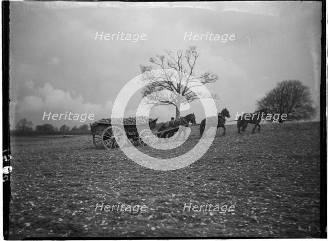 Slindon, Arun, West Sussex, 1908. Creator: Katherine Jean Macfee.