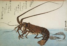 Lobster and Shrimps, 1832-1834.  Creator: Hiroshige, Utagawa (1797-1858).