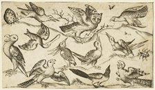Eleven birds and two insects on minimal ground with owl with wings outstretched..., 1572.  Creator: Virgil Solis.