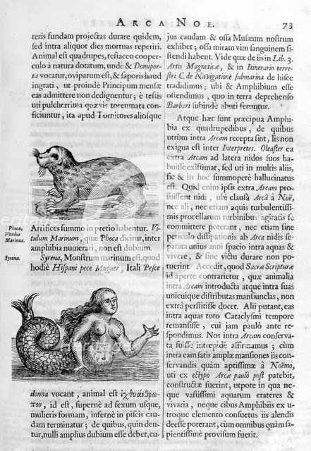 Mythical creatures, 1675.  Artist: Athanasius Kircher