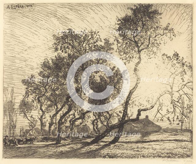 La Ferme aux peupliers de Hollande, 1914. Creator: Auguste Lepere.