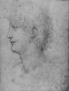 'Profile to the Left of a Curly-Headed Youth', c1480 (1945). Artist: Leonardo da Vinci.