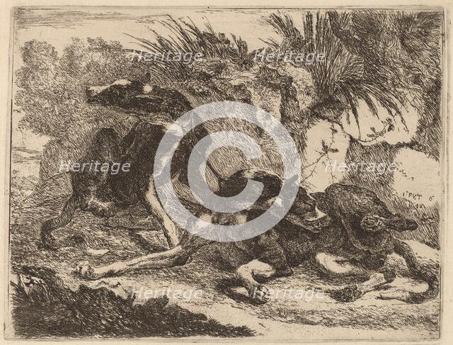 Two Greyhounds, Leashed and Facing Opposite Directions, 1642. Creator: Jan Fyt.