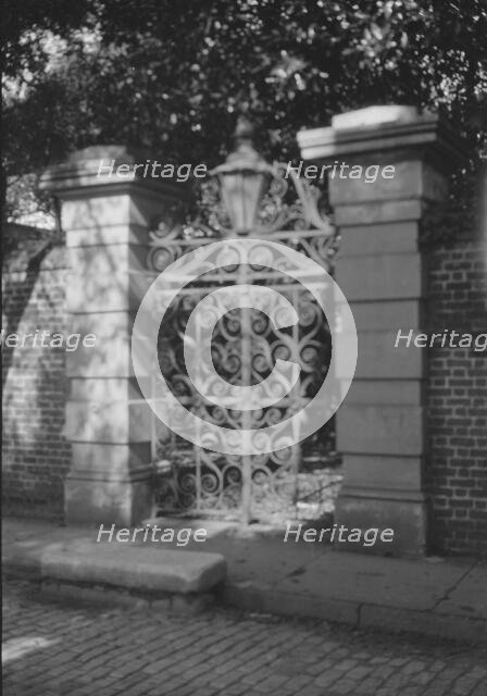 Wrought iron gate, New Orleans or Charleston, South Carolina, between 1920 and 1926. Creator: Arnold Genthe.
