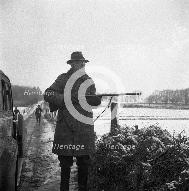 King Gustav V of Sweden hunting on the Övedskloster estate, Scania, Sweden, 1946. Artist: Otto Ohm