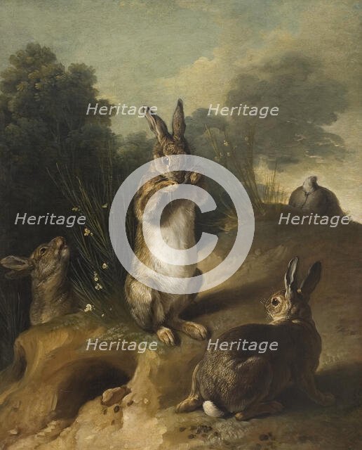Rabbits, between 1720 and 1729. Creator: Alexandre François Desportes.