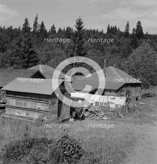 Company houses of closed mill..., Malone, Grays Harbor County, Western Washington, 1939. Creator: Dorothea Lange.