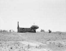 White sharecropper's home, near Cleveland, Mississippi, 1937. Creator: Dorothea Lange.
