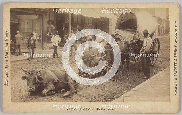 No. 2009, 'Taking a Rest', 1890-1895. Creator: Thomas H. Lindsey.