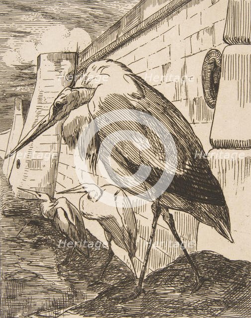 Les Cigognes, 1870s., 1870s. Creator: Felix Bracquemond.