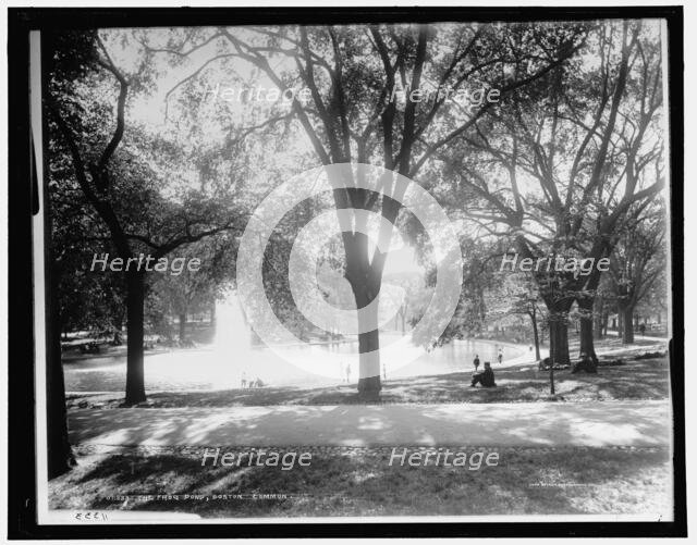 The Frog pond, Boston Common, c1899. Creator: Unknown.