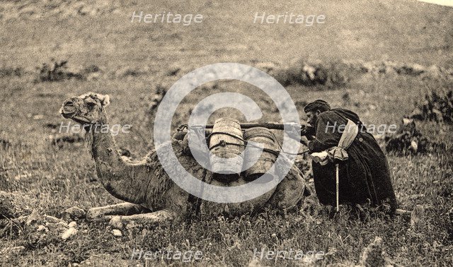Postcard. War of Africa. Tamasusin occupation. Arabian camel driver shooting at enemy, 1923.